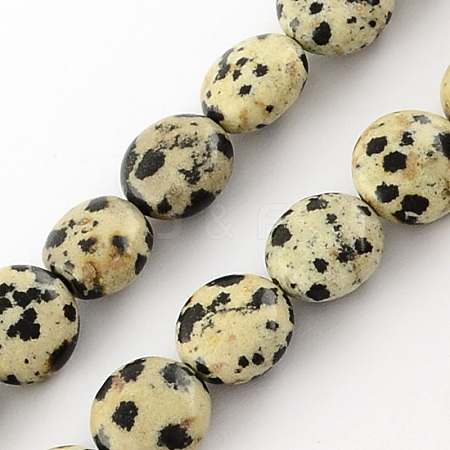 Natural Dalmation Jasper Bead Strands G-R189-14-1