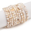 Natural Freshwater Shell Beads Strands X-SHEL-T011-02-3mm-1