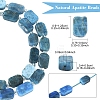 1 Strand Natural Apatite Beads Strands G-YW0002-96-3