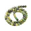 Natural Serpentine Beads Strands G-G829-06-10mm-3