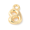 Brass Charms KK-P234-13G-B-2