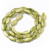 Natural Freshwater Shell Beads SHEL-R047-02F-2