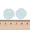 Frosted Transparent Acrylic Beads OACR-P029-19B-06-4