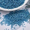 MIYUKI Delica Beads SEED-X0054-DB1709-1