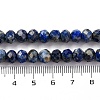 Natural Lapis Lazuli Beads Strands G-K380-A37-09-5