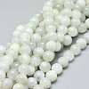 Natural White Moonstone Beads Strands G-F674-08-8mm-1