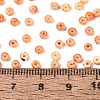 Picasso Glass Seed Beads GL-N001-01B-09-4