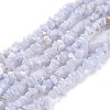 Natural Blue Lace Agate Beads Strands G-O187-02-1