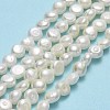Natural Cultured Freshwater Pearl Beads Strands PEAR-A005-07B-01-2