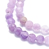 Natural Lepidolite/Purple Mica Stone Beads Strands G-P457-A02-01-2