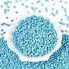 FGB Baking Paint Glass Seed Beads SEED-Q040-09A-14-2