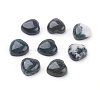 Natural Moss Agate Cabochons G-F528-12-1