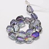 Half Rainbow Plated Faceted Polygon Glass Bead Strands X-EGLA-J087-07-2