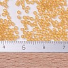 MIYUKI Delica Beads X-SEED-J020-DB0702-4