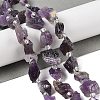 Natural Amethyst Beads Strands G-Q023-F01-01-2