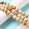 Natural Crazy Lace Agate Beads Strands G-H298-A12-04-2