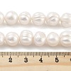 Natural Cultured Freshwater Pearl Beads Strands PEAR-C003-20A-5