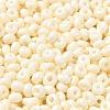 Baking Paint Glass Seed Beads X1-SEED-B001-02A-06-3