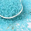 6/0 Luminous Glass Seed Beads SEED-NH0001-01N-2