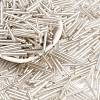 Silver Lined Transparent Glass Bugle Beads SEED-R028-2x20-B02-1