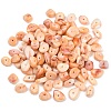Two Tone Opaque Acrylic Imitation Gemstone Beads OACR-T033-03A-2