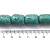 Natural Howlite Beads Strands G-F783-H05-01-3