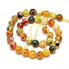 Dyed Natural Agate Faceted Round Beads Strands G-E268-09-3
