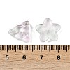 Gradient Color Transparent Glass Beads GLAA-B026-01G-3