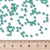 MIYUKI Round Rocailles Beads X-SEED-G008-RR0412L-4