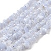 Natural Blue Lace Agate Chip Beads Strands X-G-E271-73-01-1