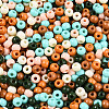 Baking Paint Glass Seed Beads SEED-N007-02I-3
