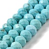 Dyed Natural Howlite Beads Strands G-G023-A01-01A-1