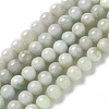 Natural Myanmar Jadeite Beads Strands G-L595-C01-01A-1