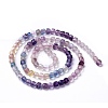 Natural Fluorite Beads Strands G-G991-C01-3