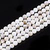 Freshwater Shell Beads Strands X-SHEL-T011-01-5mm-1