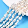 Natural Baroque Pearl Keshi Pearl Beads Strands X1-PEAR-S020-F10-01-1