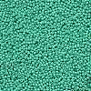 11/0 Grade A Baking Paint Glass Seed Beads X-SEED-N001-A-1030-2