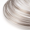 Carbon Steel Memory Wire STAS-H021-P-1-2