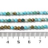 Natural Howlite Beads Strands G-C025-02B-06-5