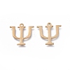 304 Stainless Steel Charms LS-STAS-K215-11G-2