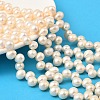 Natural Cultured Freshwater Pearl Beads Strands PEAR-I007-04E-02B-1