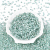 Transparent Inside Colours Glass Seed Beads SEED-T007-13N-1