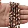 Natural Leopard Skin Jasper Beads Strands G-D344-A24-2