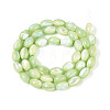 Natural Trochus Shell Beads Strands SHEL-K006-19-01C-2
