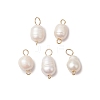 Natural Freshwater Pearl Rice Connector Charms PALLOY-JF03395-1