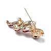 Snake Alloy Rhinestone Brooch Pins JEWB-Z034-01G-01-3