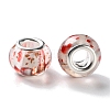 Transparent Two-Color Brass Cores Acrylic European Beads OACR-M024-05P-06-2