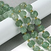 Natural Green Strawberry Quartz Beads Strands G-Q010-A20-01-2