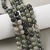 Natural Green Line Jasper Beads Strands G-G735-55-8mm-5