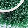MIYUKI Round Rocailles Beads SEED-X0056-RR0173-1
